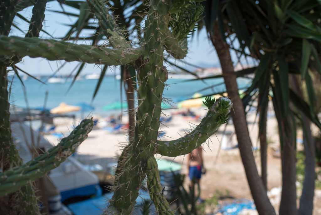 Pythagorion Samos Pythagorio Paradise Beach Photography Annika Lagerqvist www.annikasomething.com