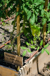 Un Posto a Milano June 2015_Photography Annika Lagerqvist www.annikasomething.com