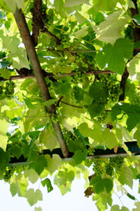 Un Posto a Milano June 2015_Photography Annika Lagerqvist www.annikasomething.com