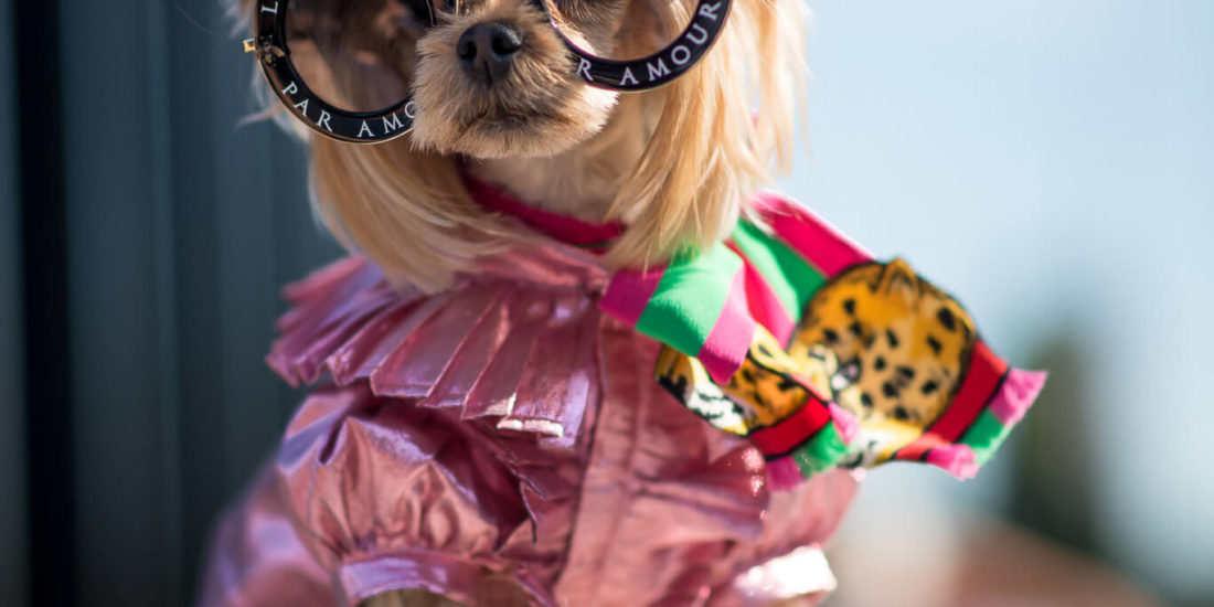 Little Lola Sunshine Gucci Milan Fashion Week Women's SS18