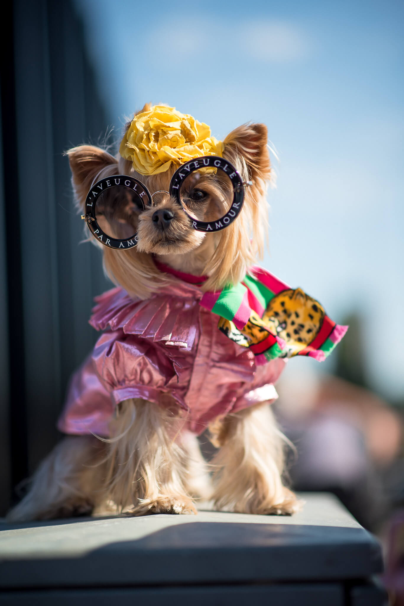Little Lola Sunshine Gucci Milan Fashion Week Women's SS18